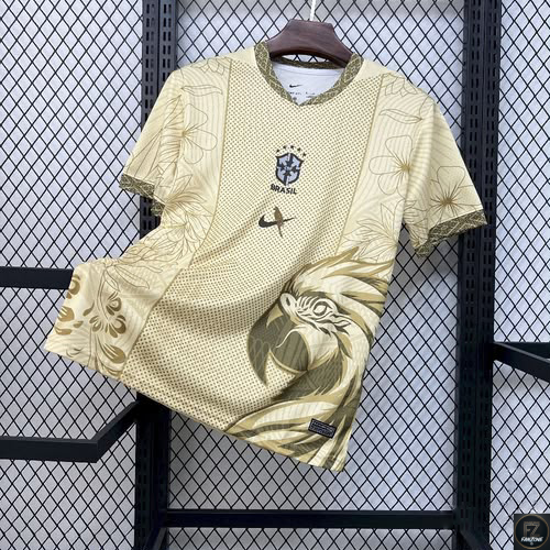 Brazil Special Football Jersey 2025/26